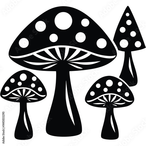 mushrooms in the forest