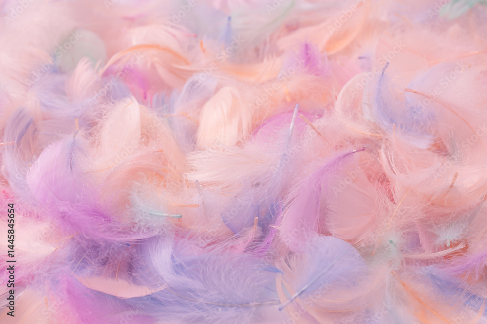Colorful feather background, top view. Colorful feather background, top view.