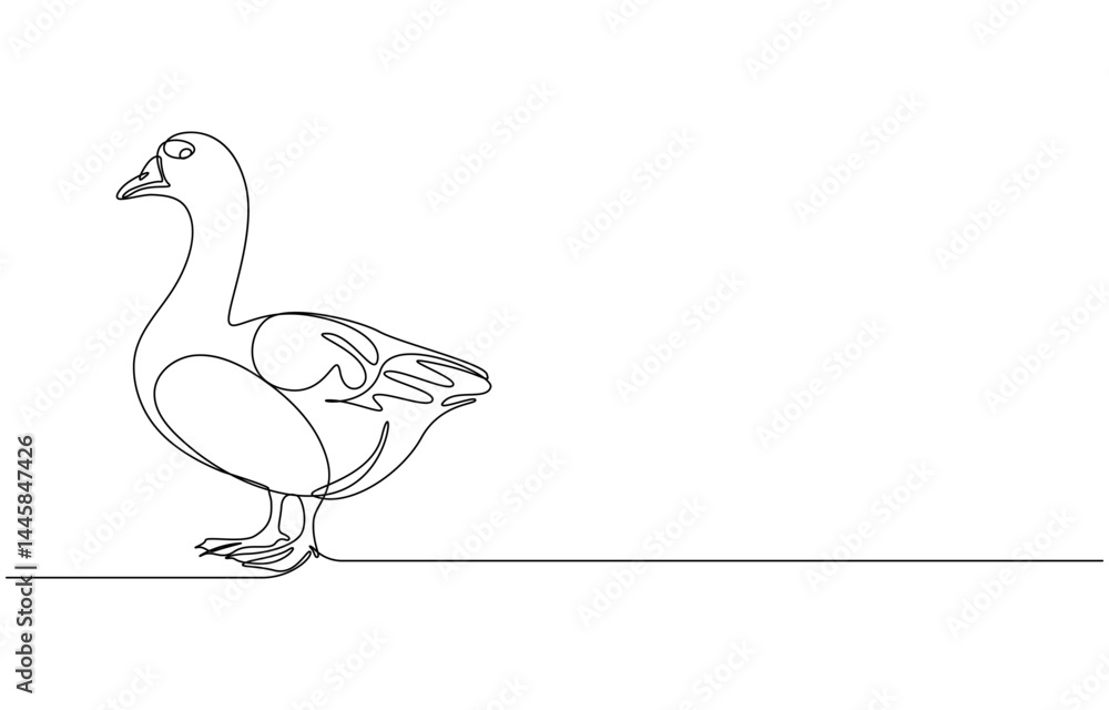 Domestic goose continuous one line drawing,Duck in continuous line art drawing style. Abstract duck walking minimalist