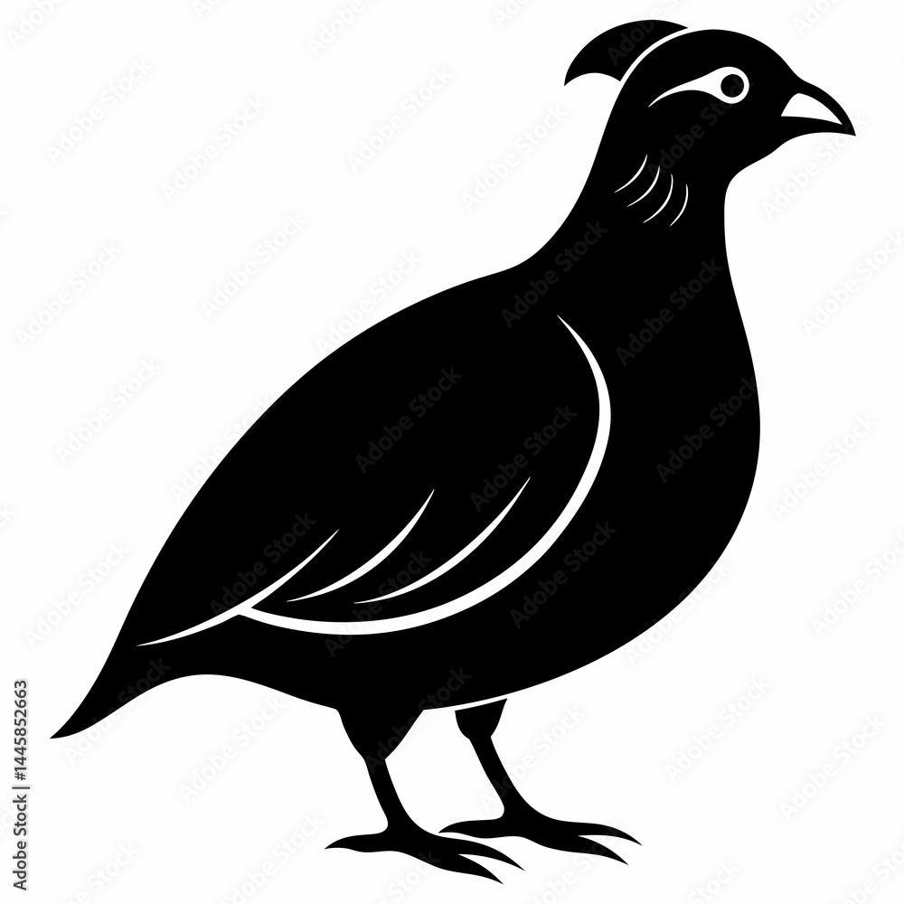 Obraz premium Classic Black Quail Shape Illustration