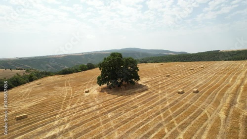 Harvest keeping view from above