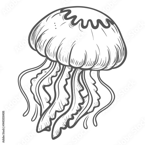 Malo Kingi Jellyfish Line Art Illustration