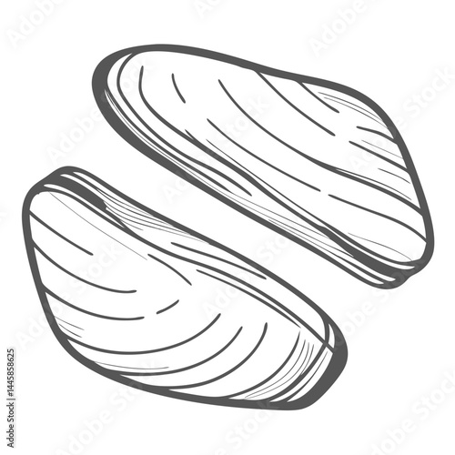 Razor Clam Illustration, Seafood Graphic Element