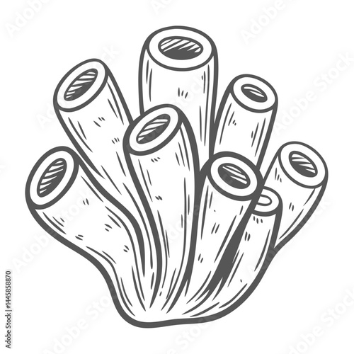 Aplysina spp. Tube Sponge Line Art Illustration