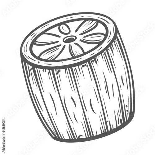 Barrel Sponge Sketch, Xestospongia Muta Illustration