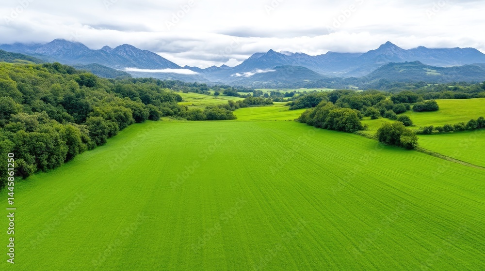 Vast green fields stretching to a mountain range Vast green fields stretching to a mountain range
