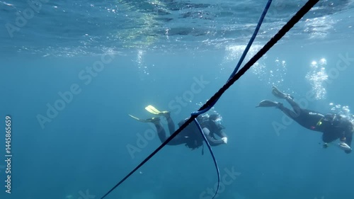 Divers exploring underwater marine world near volcanic island