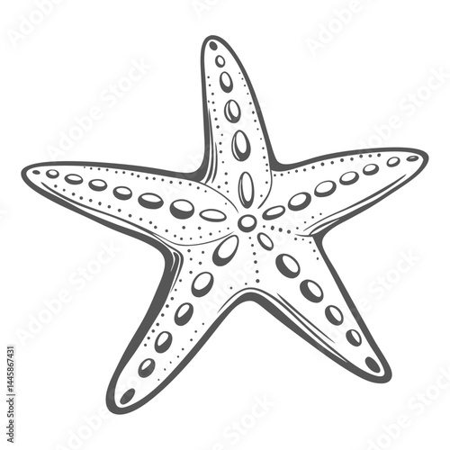 Ochre Sea Star Illustration, Pisaster Ochraceus