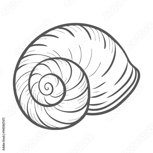Violet Sea Snail Shell Outline Illustration