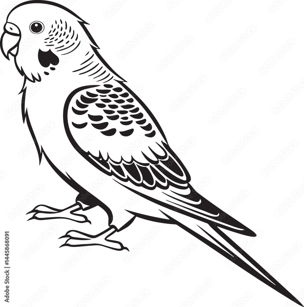 Obraz premium saint parrot bird silhouette vector illustration