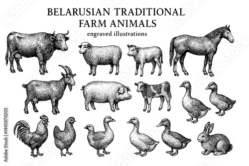 Engravings of traditional Belarusian farm animals showcasing rural life and agricultural heritage