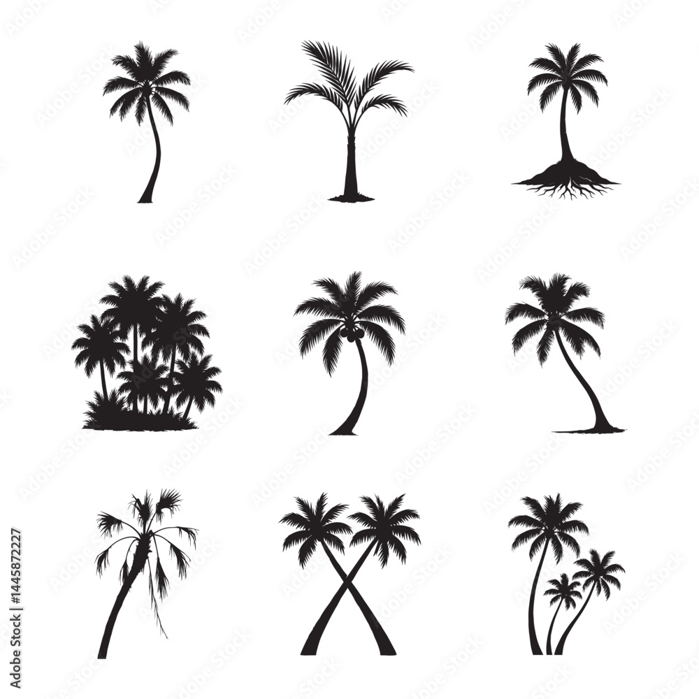 Fototapeta premium Realistic Palm Tree Silhouettes on a Clean White Background — A Study of Natural Form and Silent Elegance