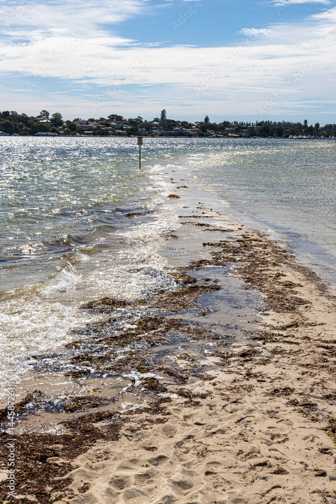 The incoming tide encroaching on the sandbar at Point Walter Reserve (Dyoondalup) on the Swan River, Perth, Western Australia, WA, Australia