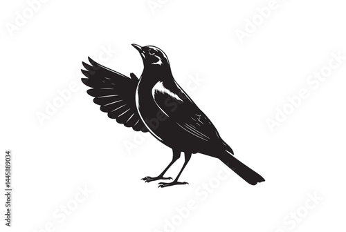 Striking black and white silhouette of a bird in flight