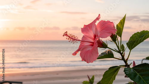 Hibiscus sunset beach bliss tropical paradise vibrant colors