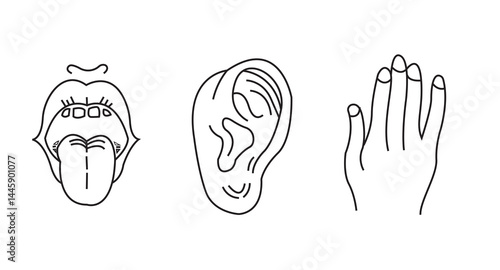 Hand drawn human sense organs vector set hand ear mouth