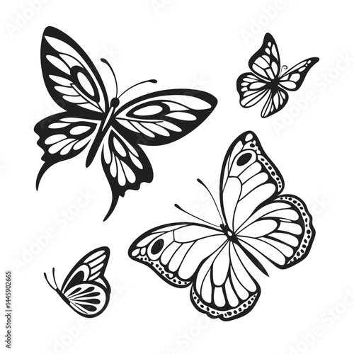 Monochrome Insect butterfly black winged gorgeous insect set isolated vector illustration