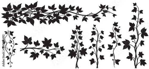 jungle vine and hanging ivy plant bush foliage, isolated on a white background vector