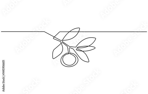 Sweet  orange continuous line. Continuous one line drawing sweet orange. Healthy fruit concept. single line drawing