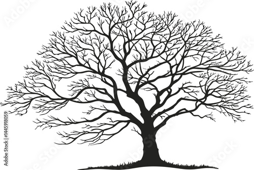 Bare Tree Silhouette Vector – Minimalist Leafless Branch Illustration
