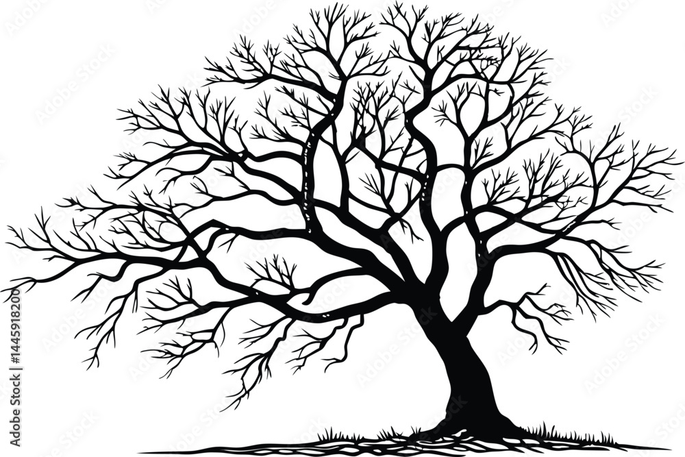 Obraz premium Bare Tree Silhouette Vector – Minimalist Leafless Branch Illustration