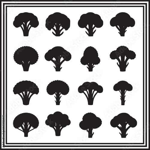 Broccoli silhouette vector set – black vegetable icons collection in multiple styles for healthy food, nutrition, or eco design
