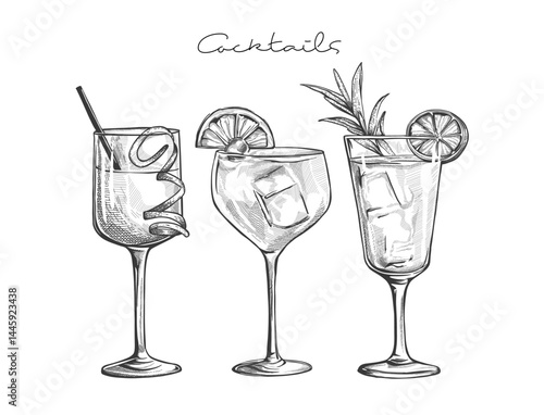 Hand drawn cocktail Illustrations. Sketch of three different cocktails in distinct glassware, each garnished with fruit slices, mint leaves, and straws