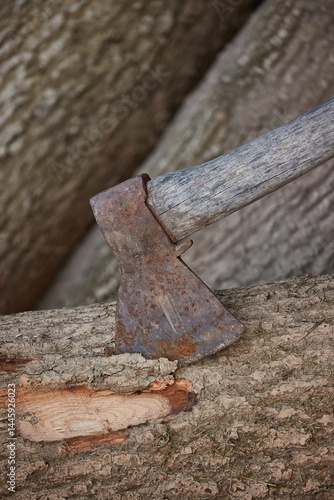 Obraz na płótnie Ax in a log after cutting the bark while chopping wood w salonie