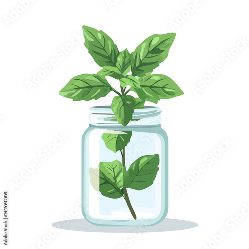 A Sprig Of Mint Leaves In A Glass Jar, Flat vector, minimalist design, isolated on a white background.