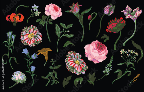 Big set oil painting rococo still-lifes flowers isolated. Vector.