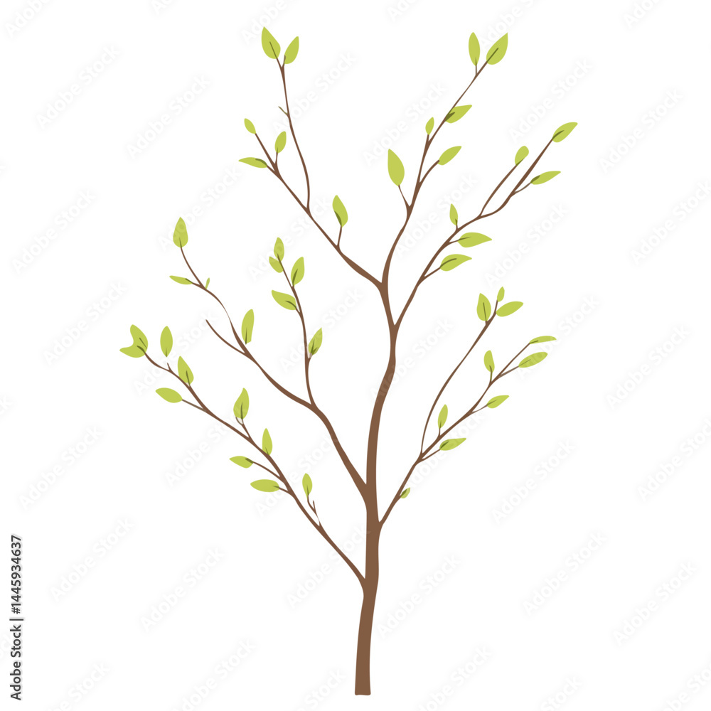 Budding Tree Branches, Flat vector, minimalist design, isolated on a white background. Budding Tree Branches, Flat vector, minimalist design, isolated on a white background.