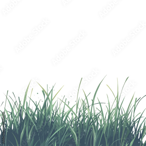 Green Grass With Morning Dew, Flat vector, minimalist design, isolated on a white background.