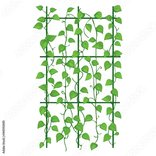 Green Vines Growing Up A Trellis, Flat vector, minimalist design, isolated on a white background.