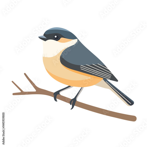 Small Bird Resting On A Branch, Flat vector, minimalist design, isolated on a white background.