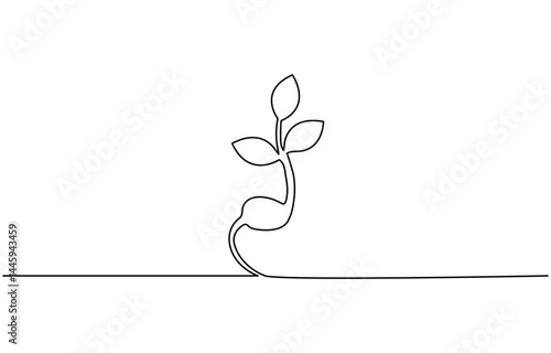 Continuous tree plant growing and seed maturation single line art vector outline illustration