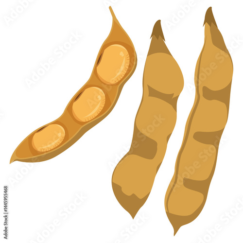 dry soybean pods, Dried soybean.