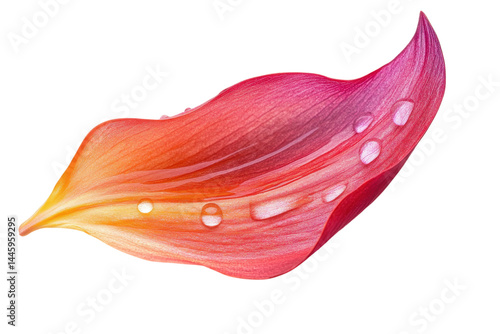 Vibrant flower petal sunrise hues dew drops soft light macro photography nature s beauty close up