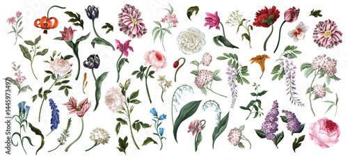 Big set oil painting rococo still-lifes flowers isolated. Vector.