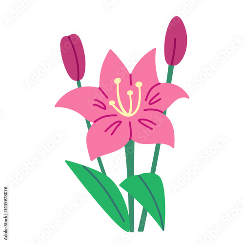 Simple vector flower illustration on transparent background