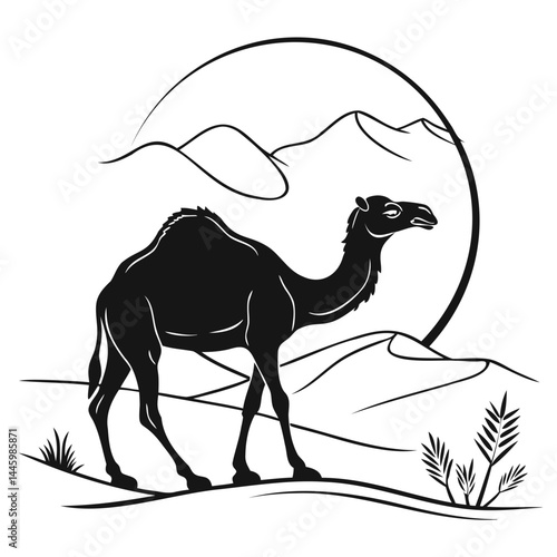 Single humped camel silhouette vector illustration on transparent background