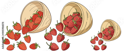 Strawberries, illustration