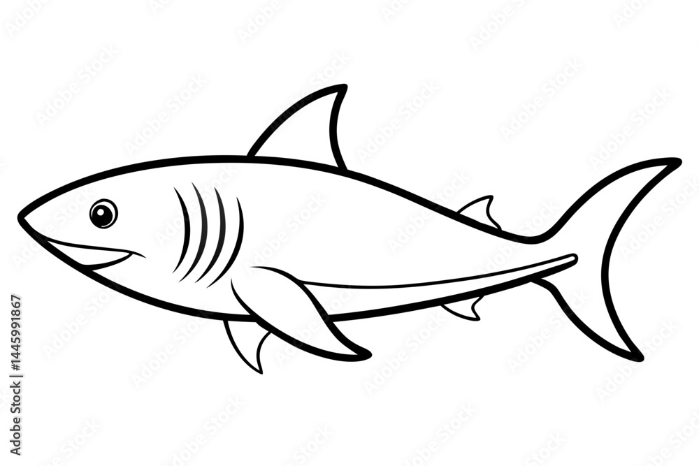 Elegant Shark Line Art Elegant Shark Line Art