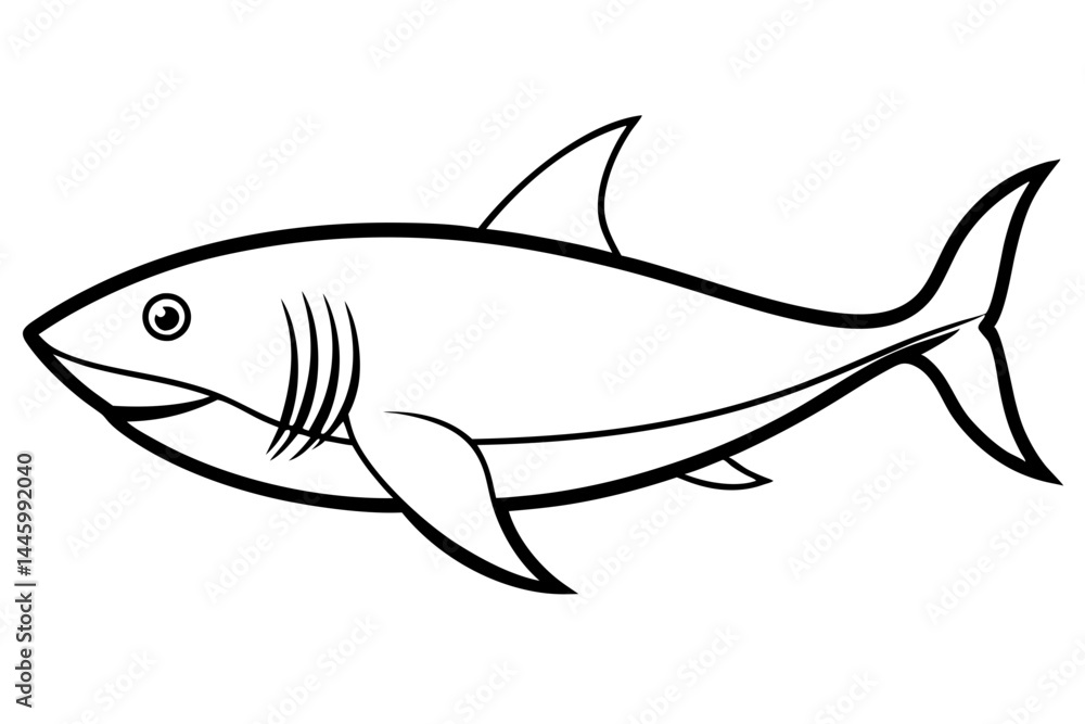 Elegant Shark Line Art Elegant Shark Line Art
