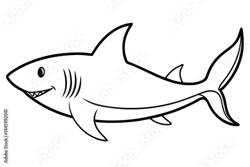 Elegant Shark Line Art