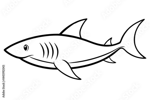 Elegant Shark Line Art