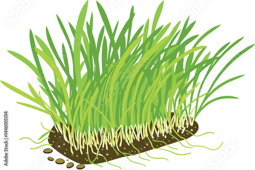 73 Vibrant green wheatgrass, close-up macro photography, dense blades of grass, fresh sprouts, white background, roots visible, healthy organic growth, natural texture, crisp detail, bright lighting, 