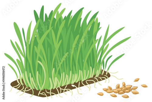 73 Vibrant green wheatgrass, close-up macro photography, dense blades of grass, fresh sprouts, white background, roots visible, healthy organic growth, natural texture, crisp detail, bright lighting, 