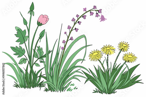 74 Lush green grass clusters, vibrant wildflowers, dandelions, pink blossoms, purple blooms, dense foliage, garden vegetation, realistic plant textures, botanical illustration, isolated on white backg