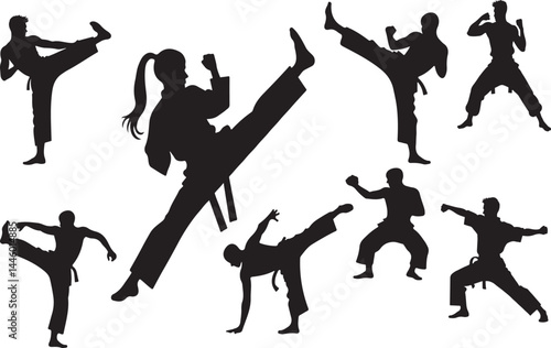 Vector illustration of martial artists in action-packed poses including high kicks, punches, and defensive stances. Ideal for sports, training, or combat-themed design projects.