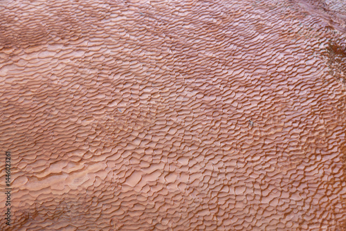 Fototapeta Naklejka Na Ścianę i Meble -  Türkey Pamukkale on a sunny spring day